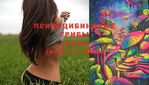 каннабис Абаза
