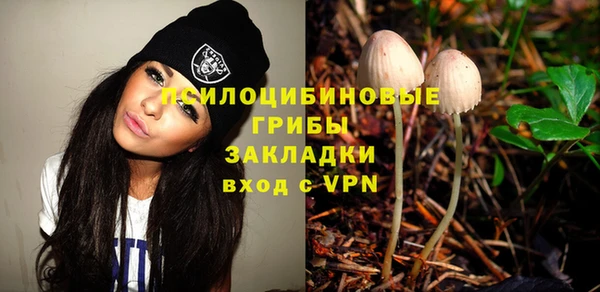 ALPHA-PVP Алексин