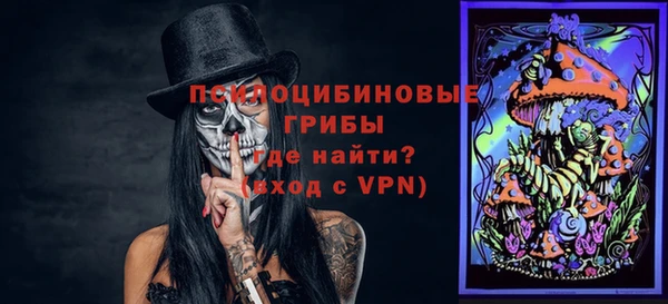 ГАЛЛЮЦИНОГЕННЫЕ ГРИБЫ Алексеевка