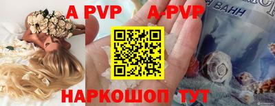 бошки Кингисепп