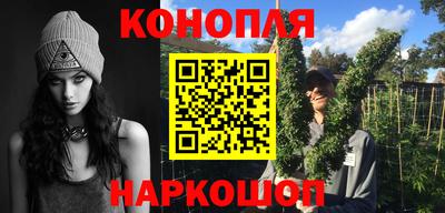 бошки Кингисепп