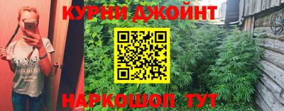 бошки Кингисепп