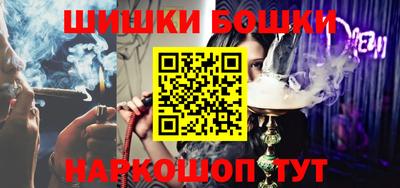 бошки Кингисепп