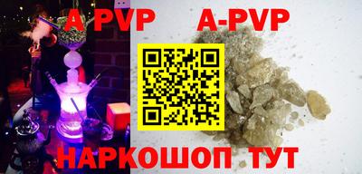 бошки Кингисепп