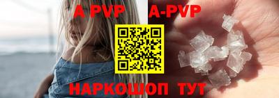 бошки Кингисепп