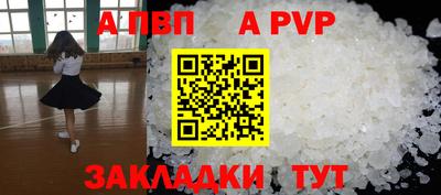 бошки Кингисепп