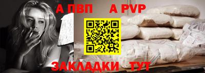 бошки Кингисепп