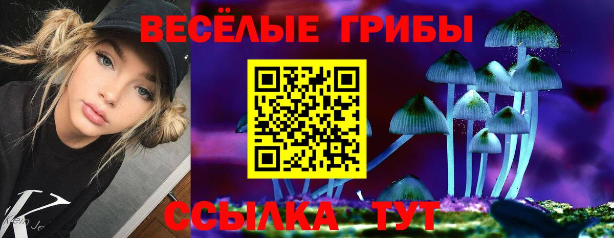 Галлюциногенные грибы ЛСД Магадан