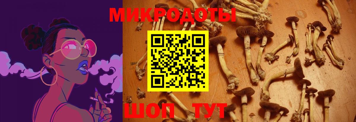 Псилоцибиновые грибы Cubensis  Вход с VPN  Магадан 